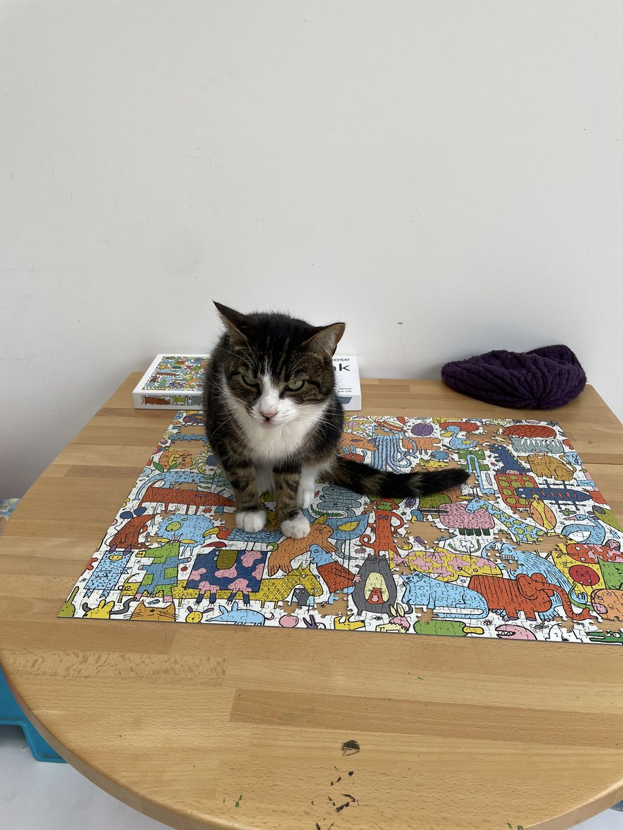Every jigsaw I do has a cat on it
