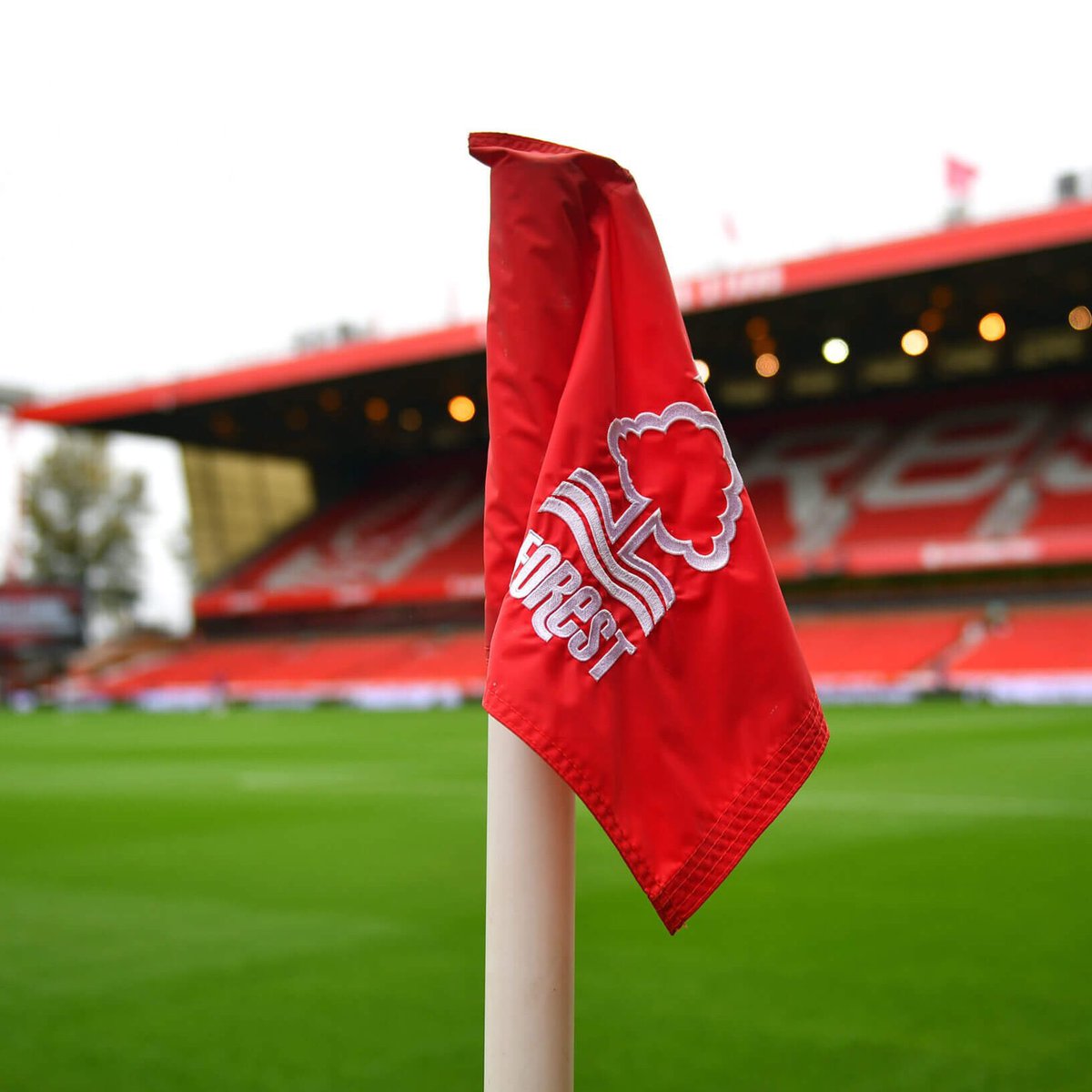 🚨🌳 Nottingham Forest statement. “Three extremely poor decisions - three penalties not given - which we simply cannot accept. We warned the PGMOL that the VAR is a Luton fan before the game but they didn’t change him. Our patience has been tested multiple times. #NFFC will