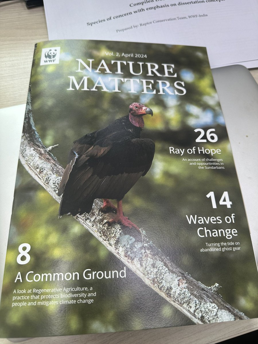 rinkitagurav's tweet photo. I’ve been so fortunate to sight the rare Red-headed Vulture over 10 times so far this year! Never gave me so much joy to see this majestic bird in Rajaji, Corbett and very recently in Pench - MP! Celebrated on our magazine’s cover as well! #BirdsSeenIn2024 https://t.co/nMBMapKm4z