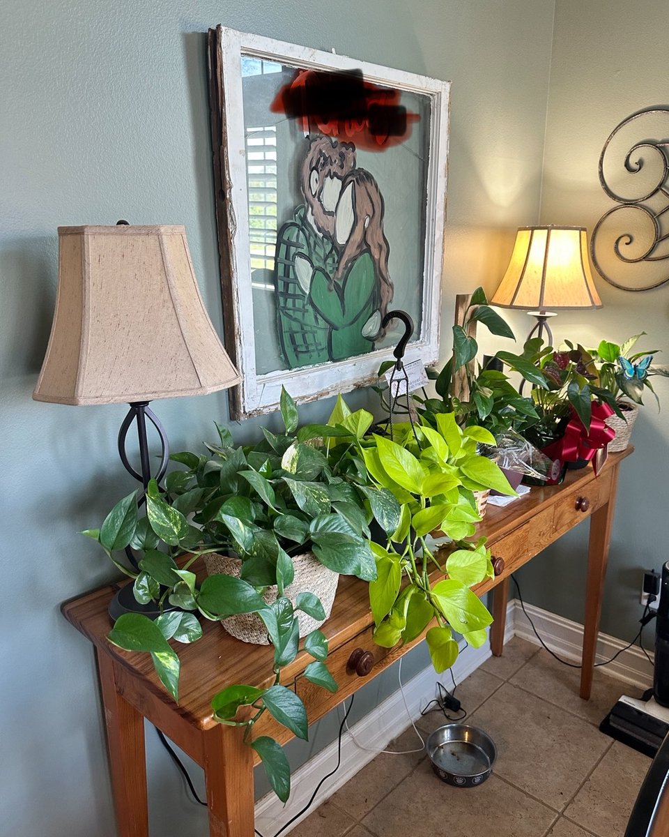 Our kitchen dining area has turned into a pothos nursery 😂😂 🌱🪴