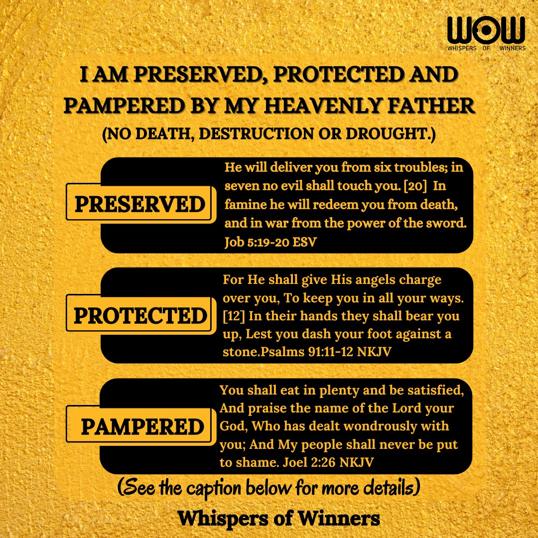 SPECIAL PROPHETIC INSTRUCTION 

This week, speak against the spirit of death and destruction. 

Declare divine preservation and protection over yourself and your loved ones.

Speak against lack and losses.

Declare divine sustenance and supply. 

Say this loud and clear: I am