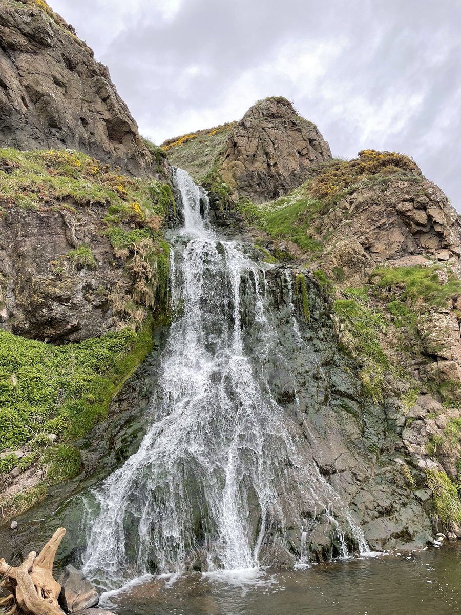 🔌🚶🏽‍♂️ tweet media