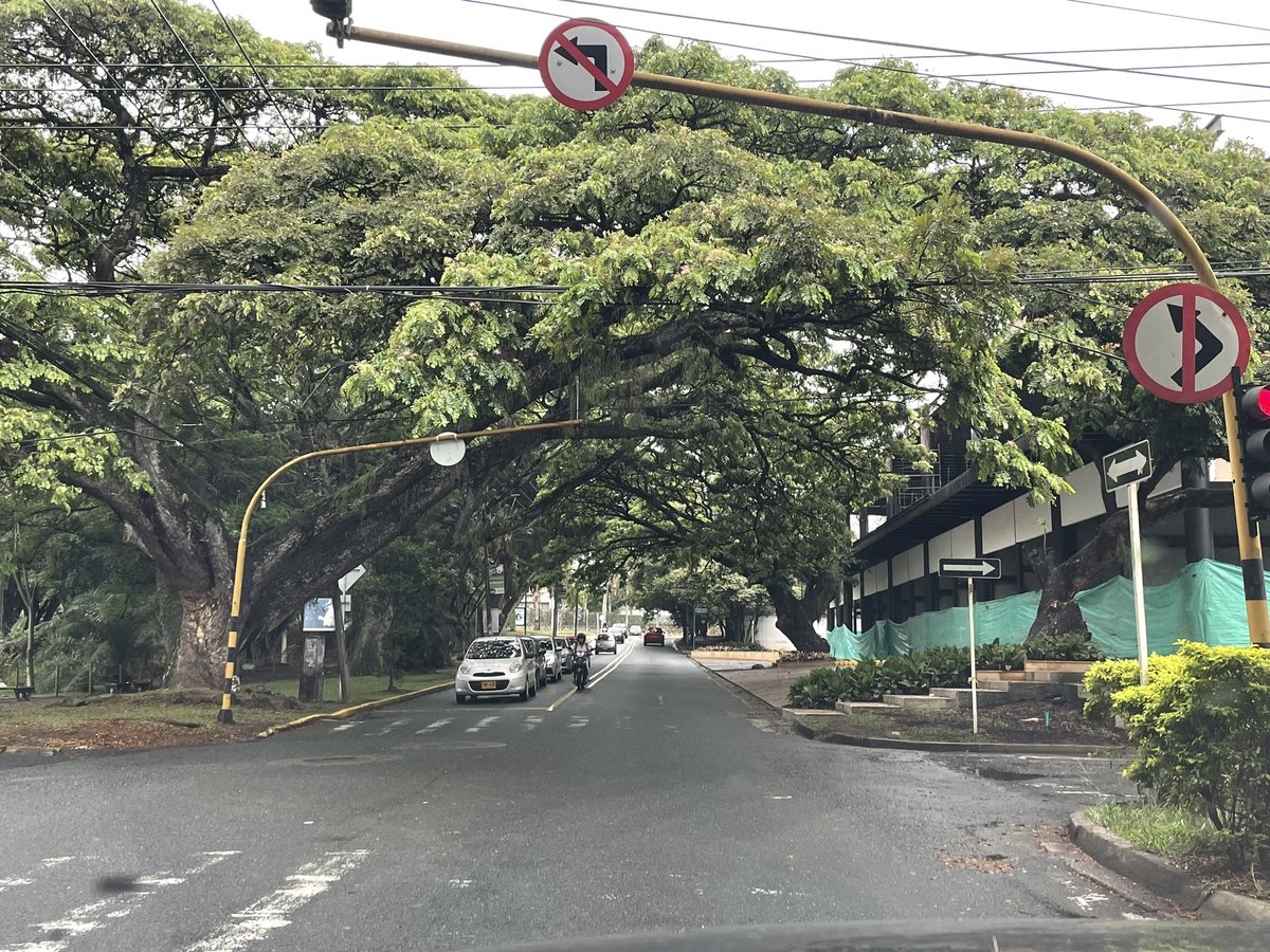 margarue's tweet photo. Me he preguntado si el @DagmaOficial @AlcaldiaDeCali regularán el
Impacto auditivo y la luminosidad en el hábitat del humedad de la babilla con este complejo comercial #calibiodiversidad #caliambiental https://t.co/D8EeEnwgVg