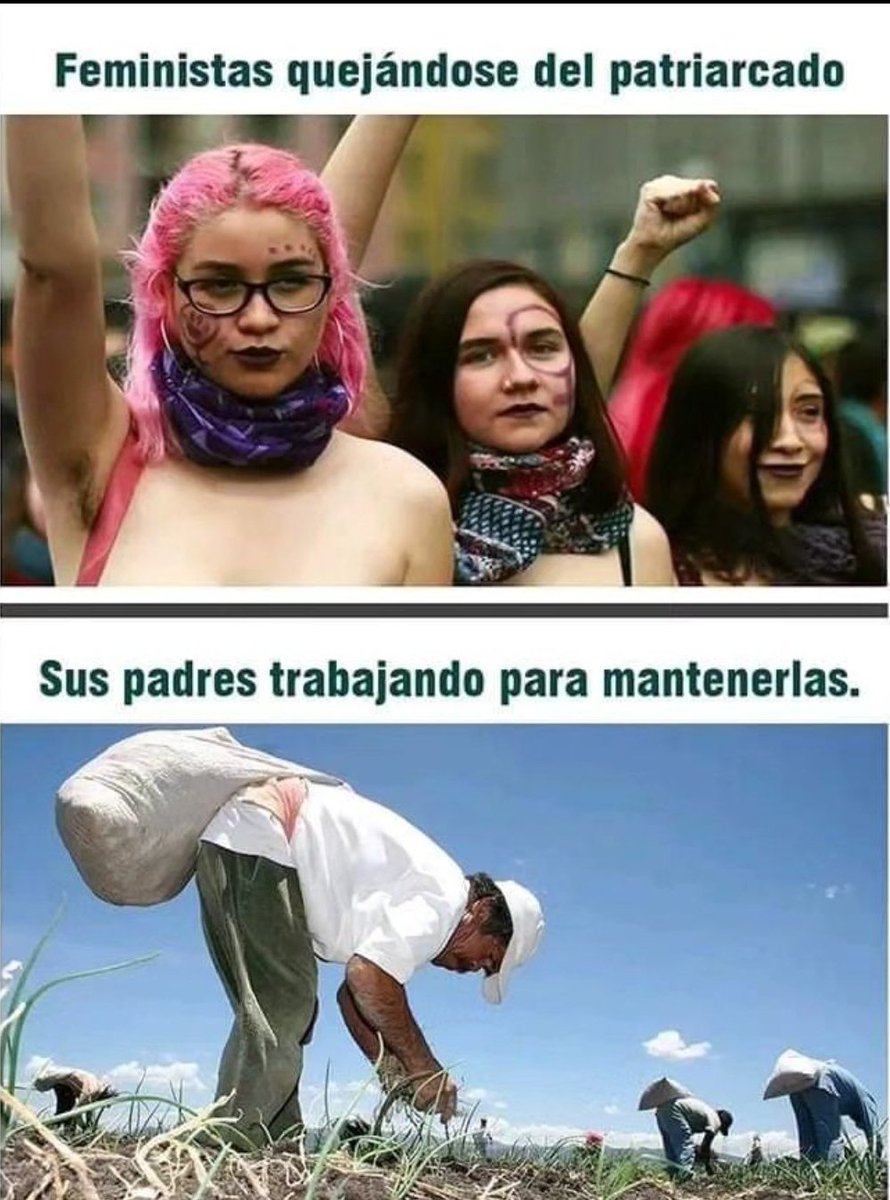 Buenos días hermana #feminista ¿qué mentira inventaras hoy para destruir al opresor? #feminazi #noeshoradecallar #niunamenos #niunamas #somosunrostrocolectivo .....y todo ese cuento con bases de papel.