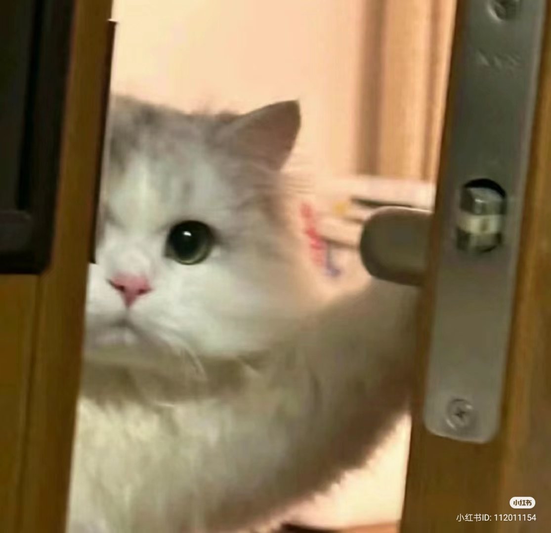 ментальный круассан tweet media
