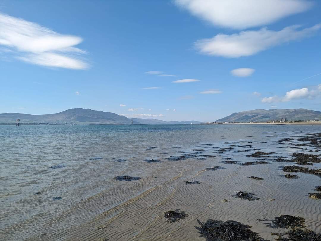 North of the 'Maginot Line' today. Stunning scenery under a blue sky. #carlingfordlough