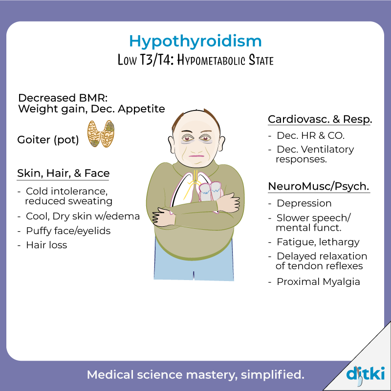 What are some key causes of hypothyroidism? 

Get answers: l8r.it/8xKi

#ditki #usmle #meded #medschool #medstudent #thyroid #pathology #hypothyroid #medicalschooltutorials
#nursing #pance #physicianassistant #medicine #science #nurse #premed #mcat #mbbs