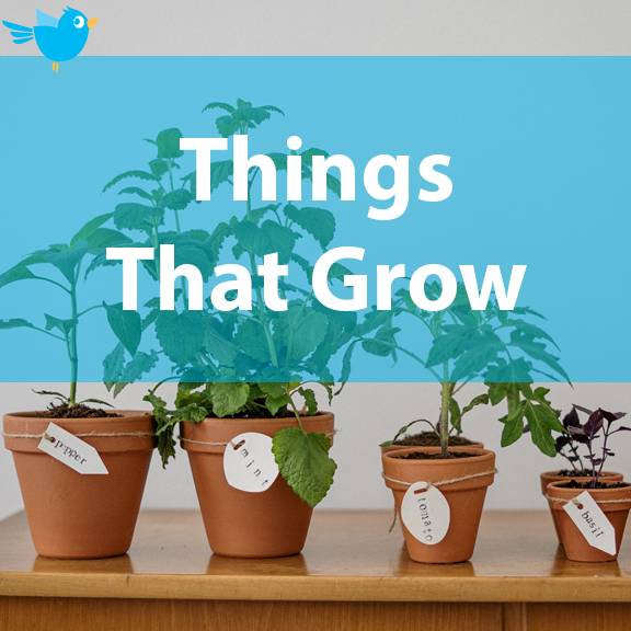 Our theme this week is Things That Grow! Visit our At Home page for more themed lesson plans and activities: bluebirddayprogram.com/things-that-gr…
#thingsthatgrow #pediatrictherapy #onlinelearning #homeactivities #homeschoolresources #teachingathome #kidsactivityathome #developmentaltherapy