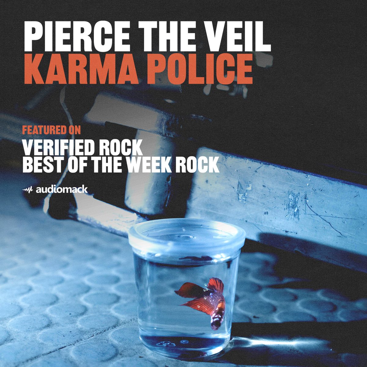 Check out “Karma Police” on @audiomack: found.ee/ptv_adm