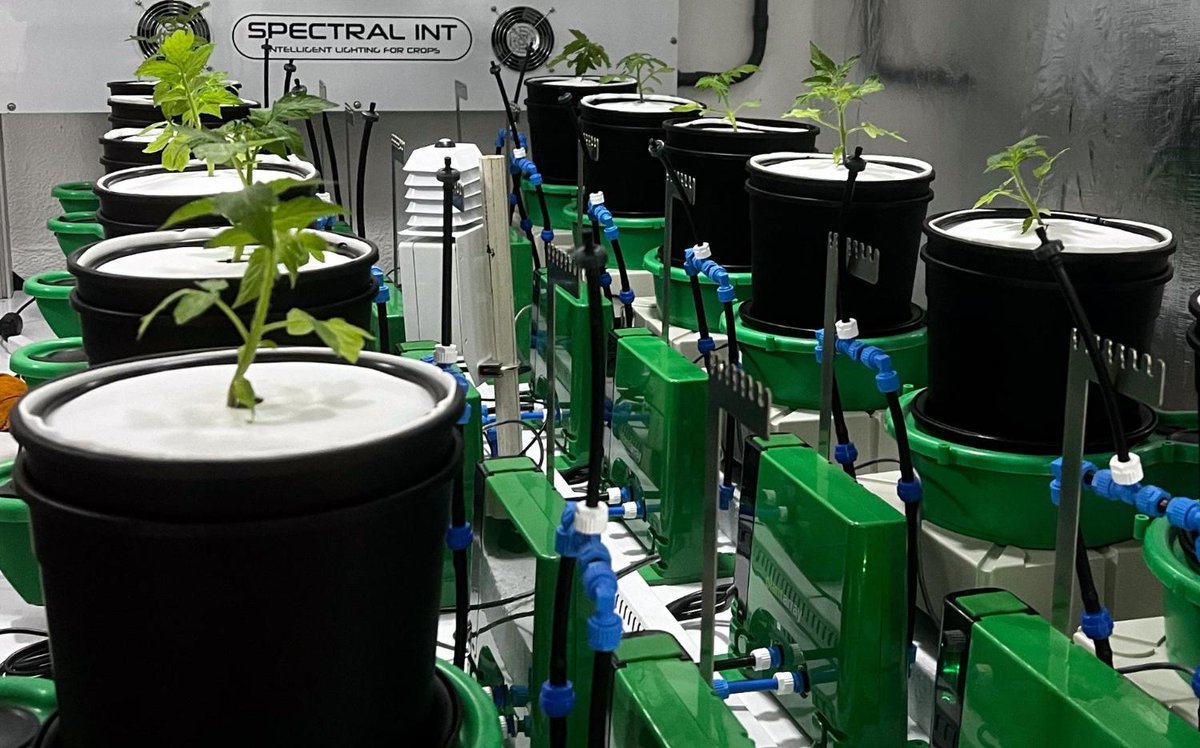 Laboratório simula condições climáticas para otimizar produção de hortaliças canalrural.com.br/agricultura/la…