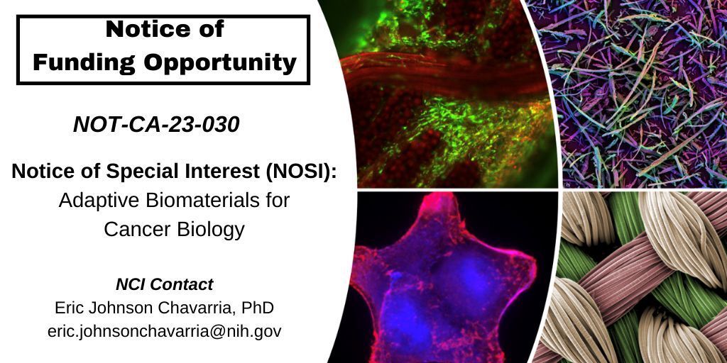 Learn more about @theNCI Notice of Special Interest (#NOSI) that supports research focused on the development, adaptation, or integration of innovative #biomaterials for #CancerBiology: grants.nih.gov/grants/guide/n…