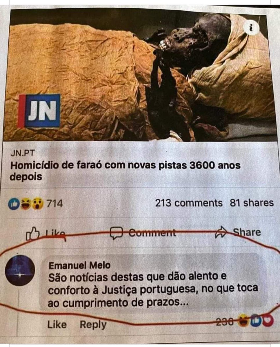 José Janeiro (@josejjaneiro) on Twitter photo 