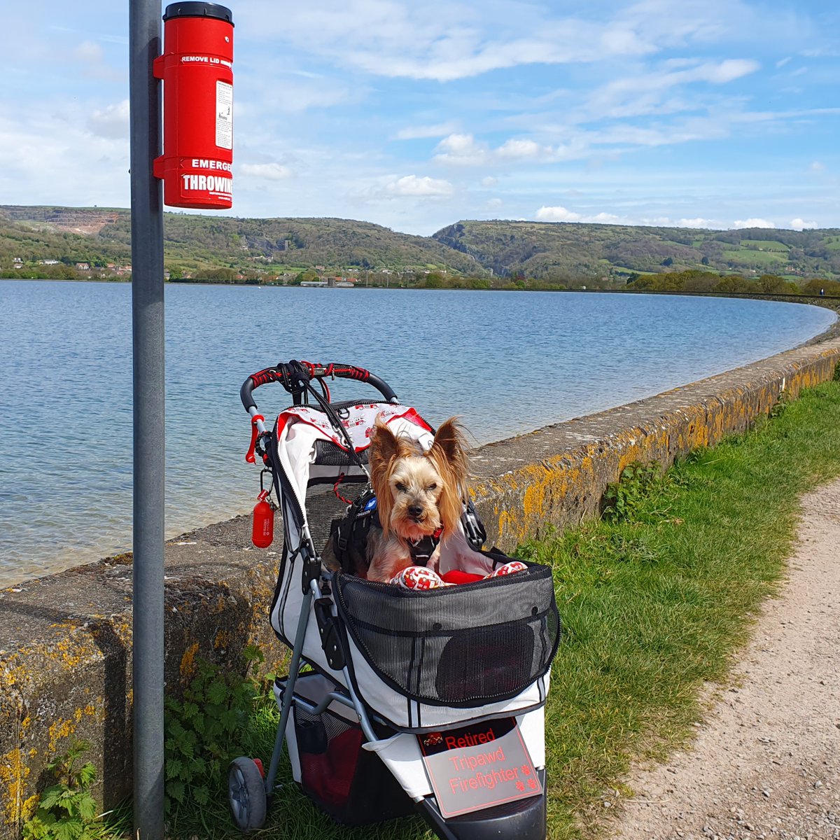 Did yous nose that males account for 83% of accidental drowning fatalities, 60% do be in inland waters such as rivers, reservoirs and lakes.

#MrPels #BarkshireFirefighter #BeWaterAware #WaterSafety #CountryLife #tripawd #Firefighter