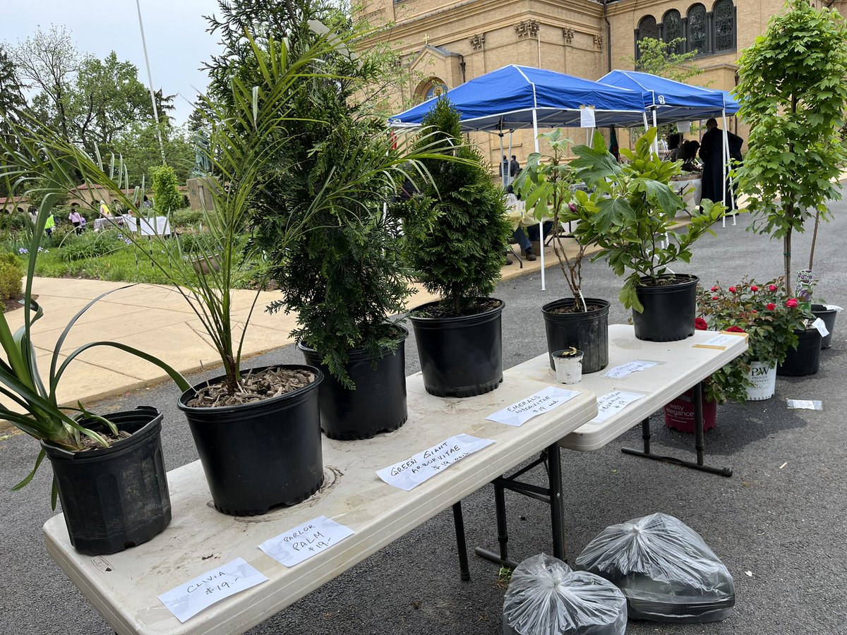 Washington Gardener tweet media