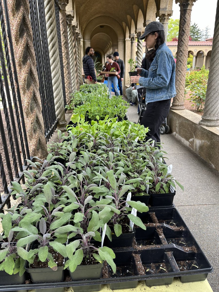 Washington Gardener tweet media