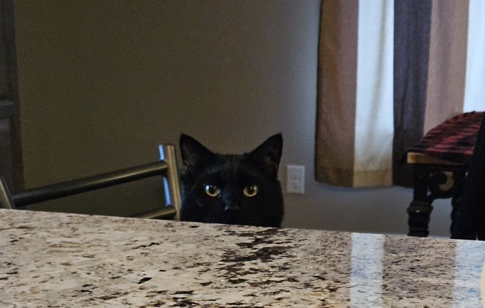 I told Samuel he couldn't have tacos... https://t.co/EX4oR3Y2hD