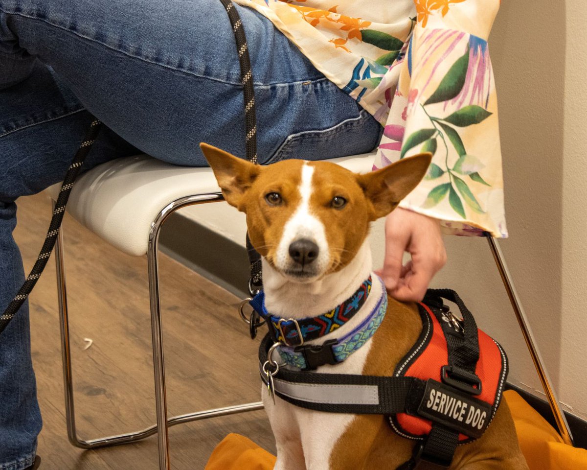 We love seeing pups in Paseo! Happy Sunday to you and your furry friends! 🐶 🐾