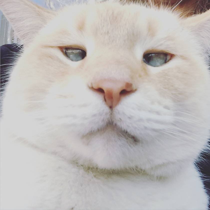 posh.mk/WY2fUcURYIb sign up for Poshmark save $10