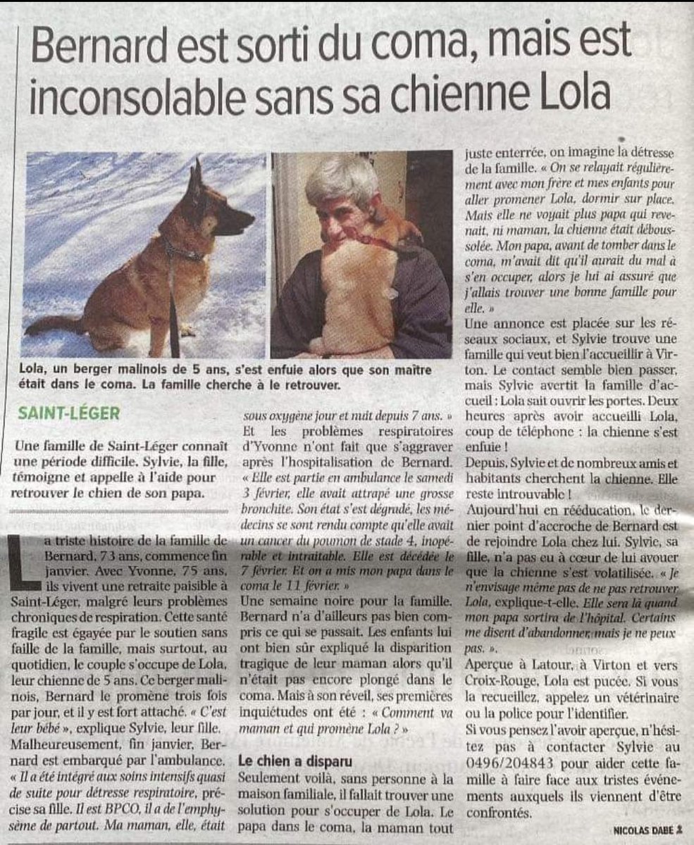 @Loovenelle @SPA_Officiel @petalert_france 
#chien #perdu #malinois #berger #SaintLeger 5ans