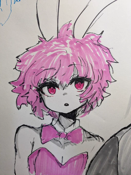バニー 