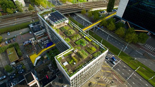 De #Dakakkers rooftopfarm is uitgekozen tot 1 van de 7 meest iconische plekken in Rotterdam door #NSDagjeUit 💚.  De NS heeft enkele van de meest charmante en unieke lokale Rotterdamse ondernemers in het zonnetje gezet, waaronder de DakAkker. Lees 't 📲: ns.nl/dagje-uit/sted…
