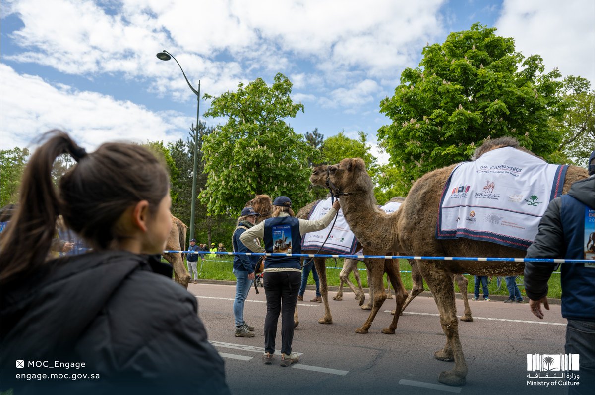 إرث.. وموروث.. الإبل في باريس 🐪 #عام_الإبل_2024 #الفعاليات_الثقافية