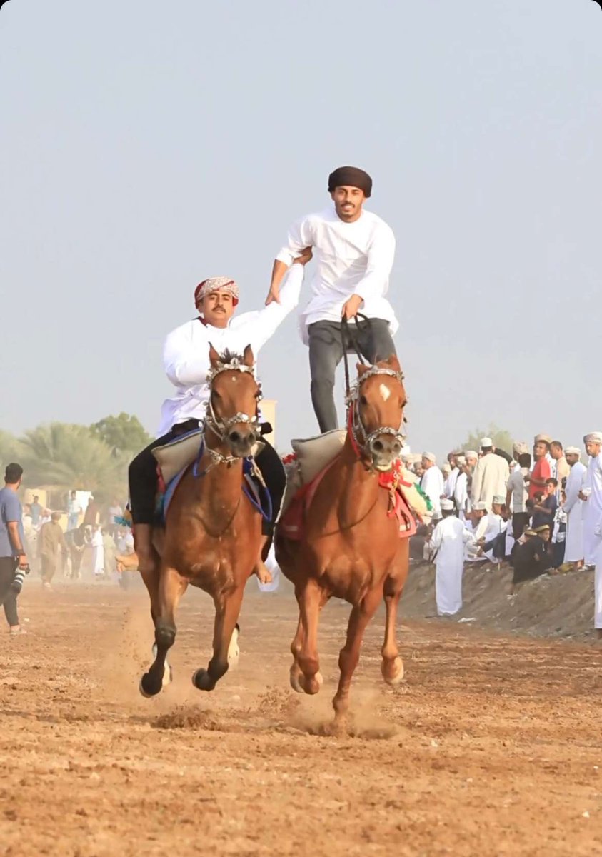 alrhabioman's tweet photo. مهارة عالية يظهرها الفارسان سليمان بن سالم بن سعيد #الرحبي وسلطان بن صالح بن سالم #الرحبي خلال مشاركتهما مؤخرا في فعالية ركضة الخيل والهجن بولاية إبراء بمحافظة شمال الشرقية المسماه (غية الشواء) .
#هنا_همدان https://t.co/tvhKlqLxYR