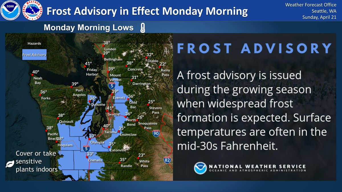 A Frost Advisory is in effect for tonight through 8 am Monday for the Southwest Interior, Hood Canal area, and East Puget Sound Lowlands. Cover or bring sensitive plants indoors! #WAwx