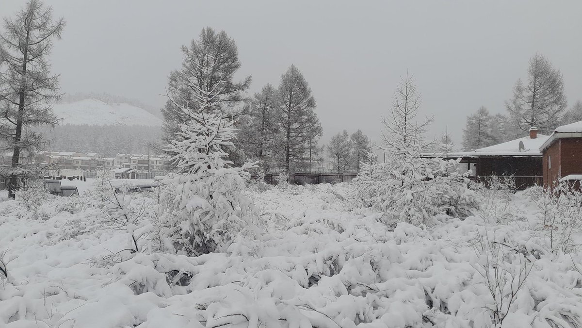 Зуслан маань цасанд дарагдаад үлгэрийн мэт гоё болжээ ❄️😍