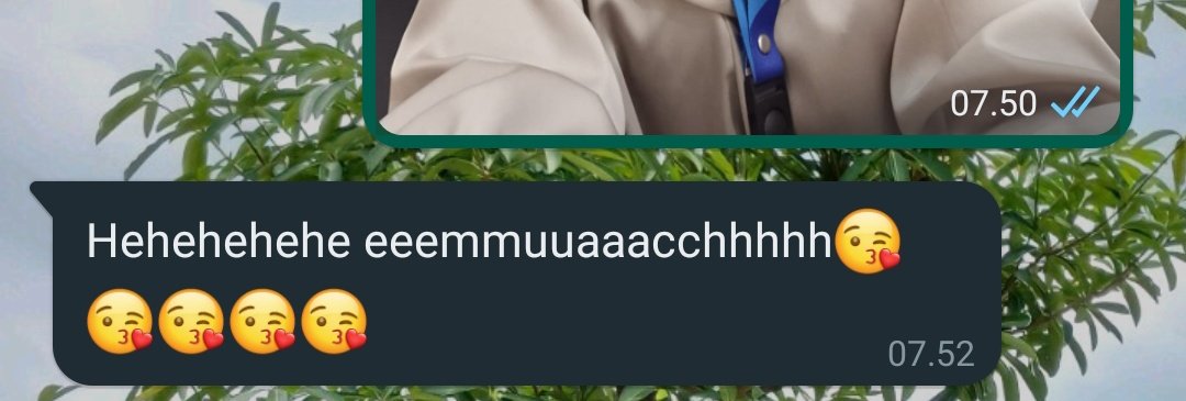 ehe tweet media