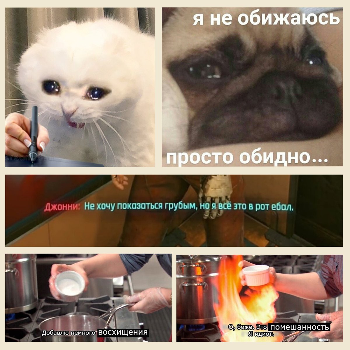 🌱картонка☕ tweet media