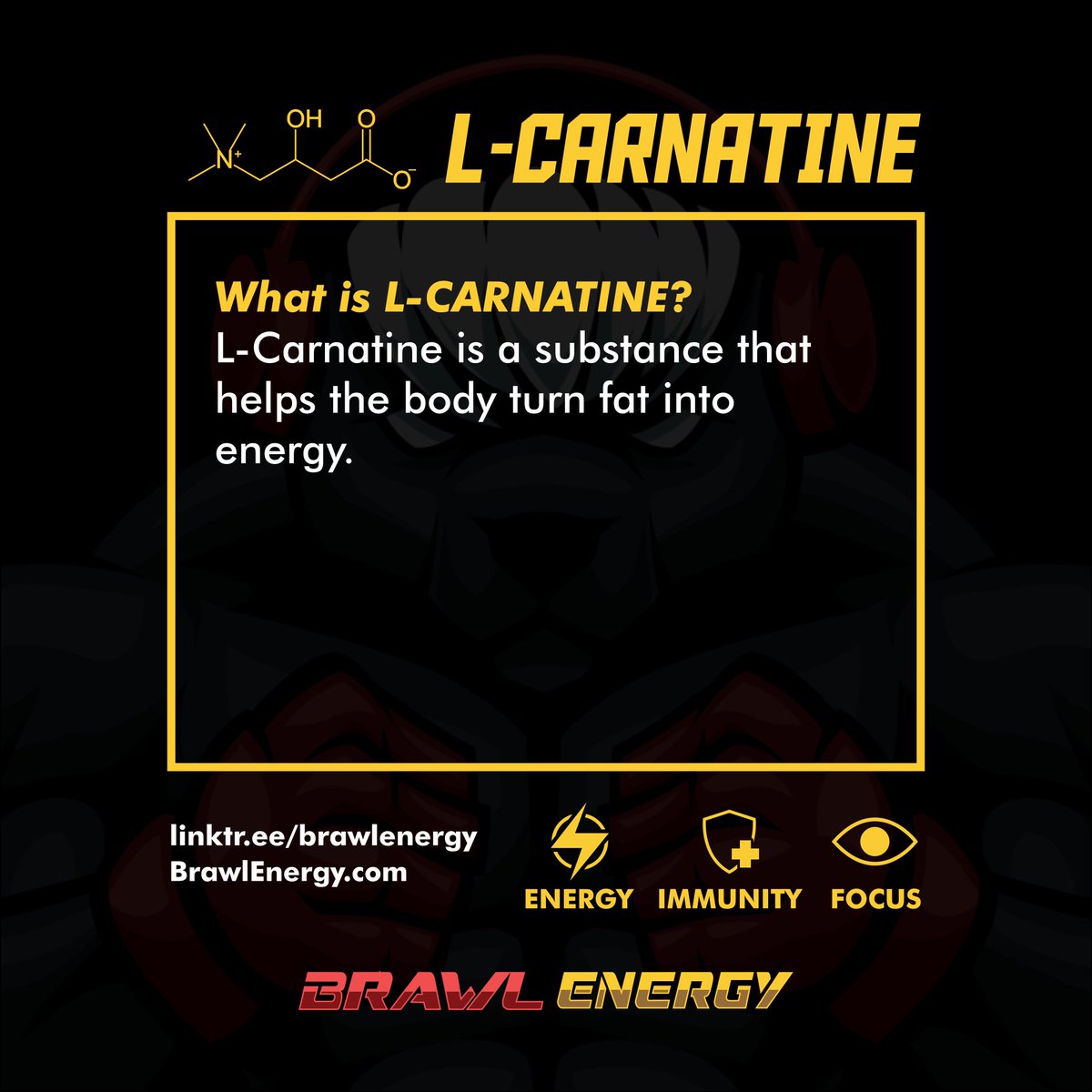 Brawl Energy Ingredient Education: L-Carnitine is in our GTAC-5 stack and this is why! #brawlenergy #energydrink #brawl #boxing #mma #bjj #karate #bareknuckle #education
