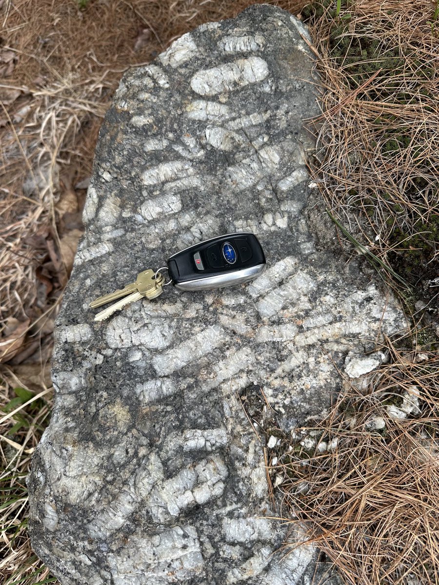 Ethan F. Baxter tweet media