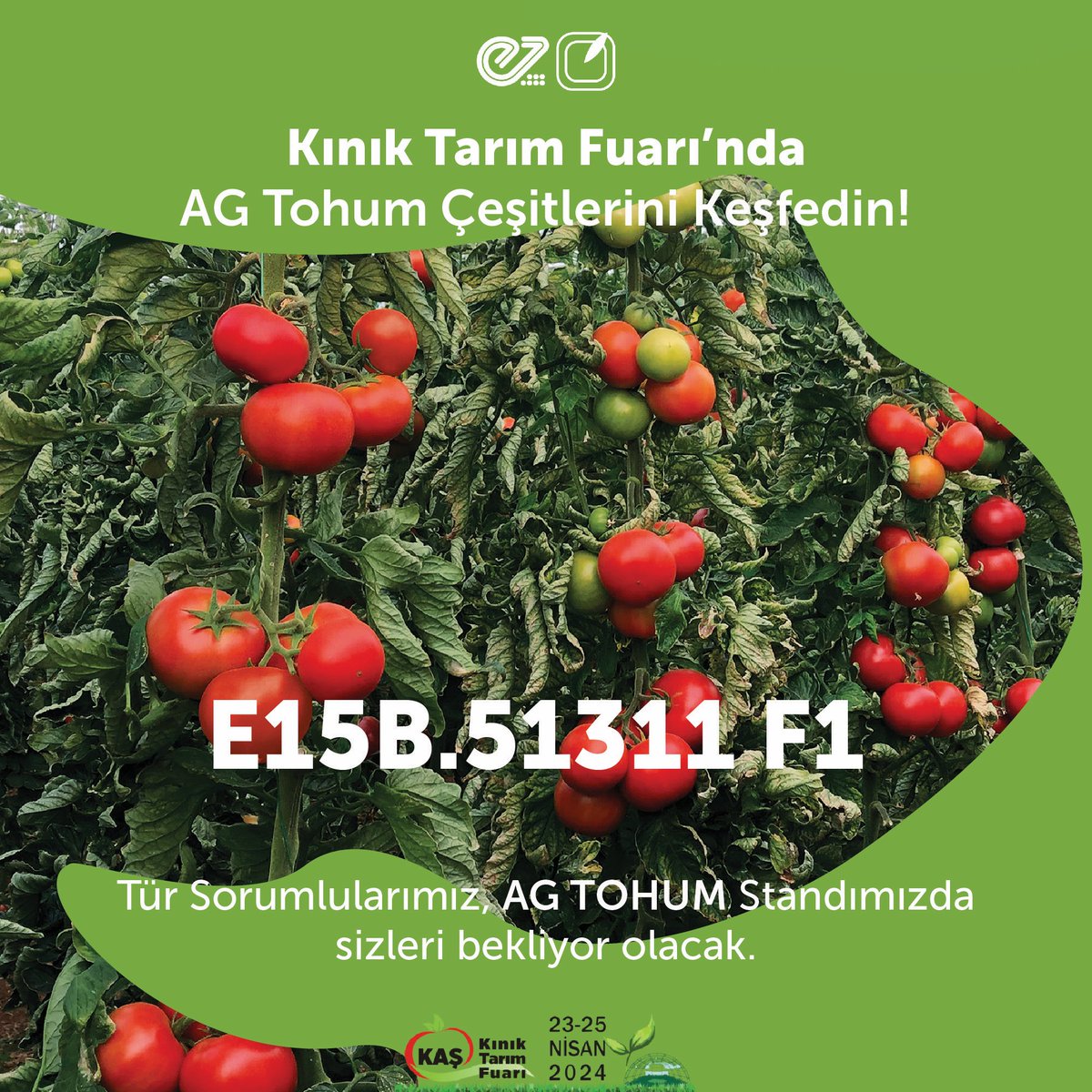 AGTohum's tweet photo. 23 - 25 Nisan 2024 tarihleri arasında düzenlenecek olan Kınık Tarım Fuarı’ndaki AG Tohum standımızda, E15B.51311 F1 domates çeşidimiz hakkındaki tüm detayları Tür Sorumlularımızdan öğrenebilir; çeşitlerimizi yakından inceleyebilirsiniz. https://t.co/kdUQQu8hWj