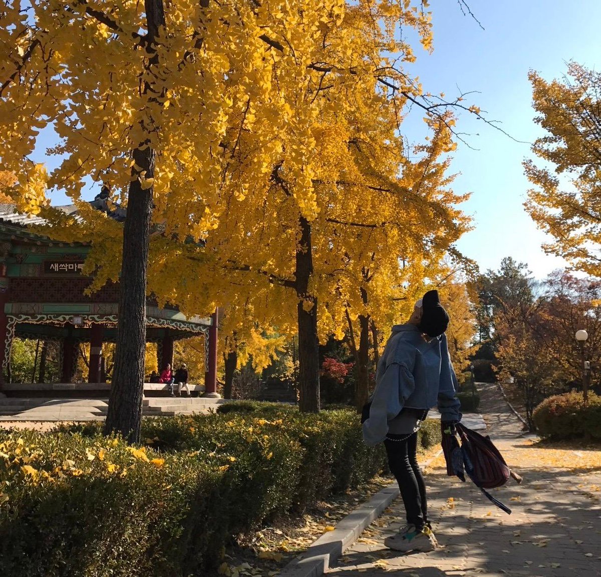 HYUNH4YI's tweet photo. @treasuremembers so cute cos hyunsuk posted this photo back in 2021 too along with his other pictures from trainee days 🥹

jihoon still has it too and it shows it was taken on October 31, 2018 🥹💜 i’m so soft for predebut photos ohgod i love you my sukhoon!

(it’s a different photo actually if you look closely)