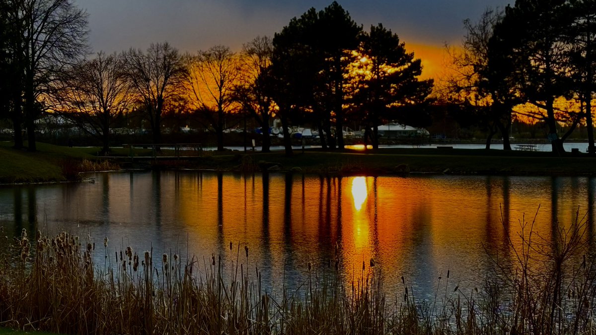 Andrew Haydon Park Ottawa @weathernetwork @CBCOttawa @CTVNews @BlacksWeather @ViktaPaulo @SnowHour @StormHour @_MarkSutcliffe @JimWatsonOttawa @NCC_CCN @NCC_GatPark