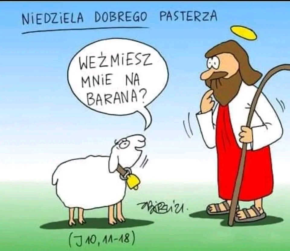 Dobry pasterz oddaje życie swoje za owce...