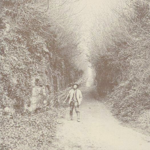 Hungers Lane, located close to Petworth, is a sunken lane, a holloway, that once served as the primary route between Chichester and London. However, the lane was deserted following the redevelopment of Petworth Park by Capability Brown, which also led to the relocation of