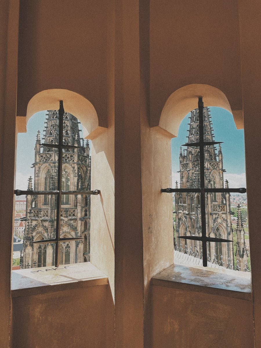 DatRarePepe's tweet image. Decided to go outside for once, Its pretty chill