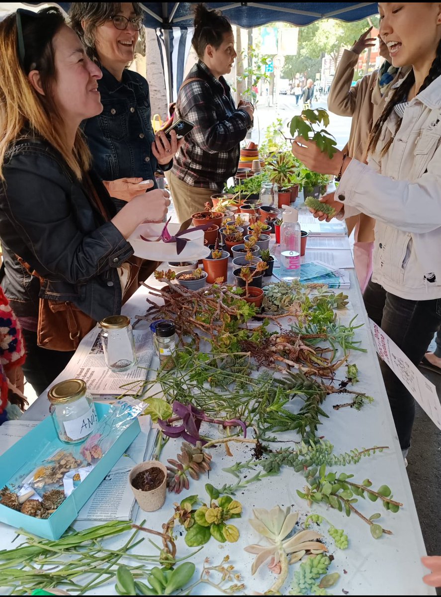 Moltes gràcies a l'@avcentrebdn, a @bdtbadalona i a totes les persones que ahir vam participar en l'intercanvi de 🪴, 🎋 i 🌱 És hora que @MediambientBDN entengui que és indispensable destinar més recursos per enverdir #Badalona i millorar així la salut dels seus habitants