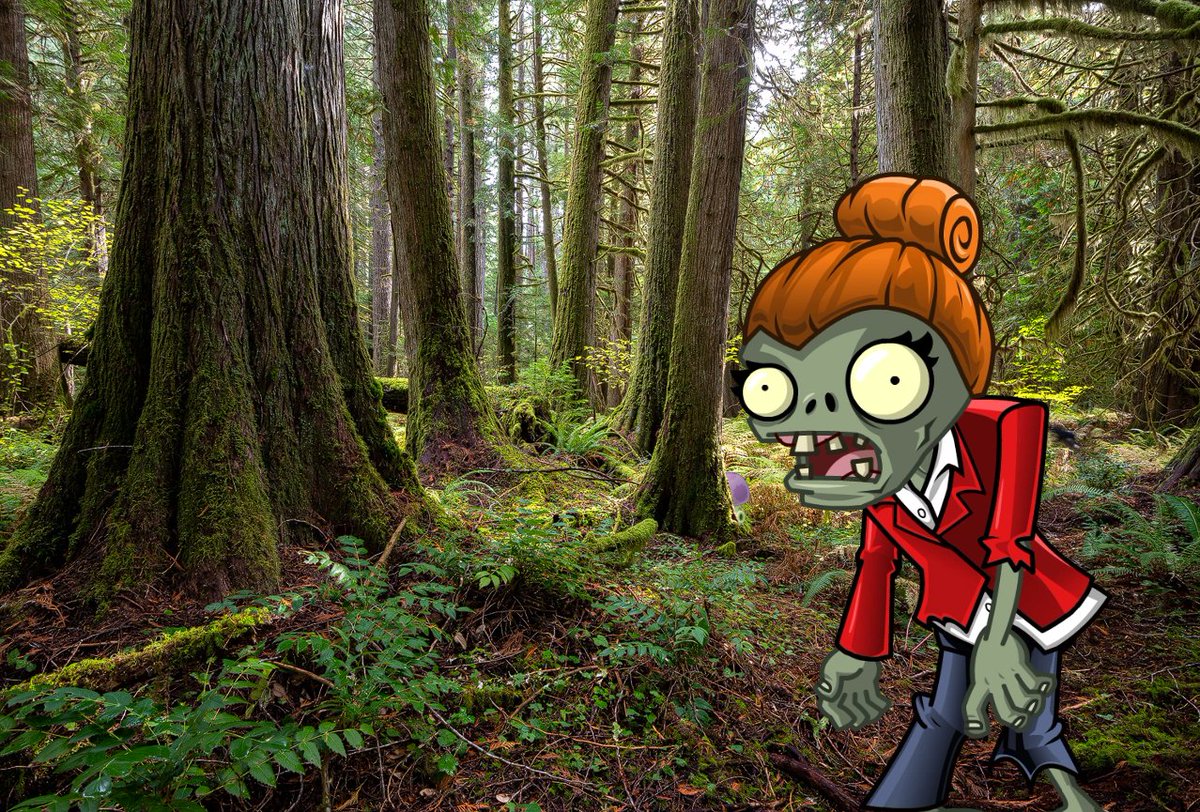FuckBalloons_'s tweet photo. here'z zome advice: where am I
#pvztwtcamping https://t.co/BCPn2vX2ZU