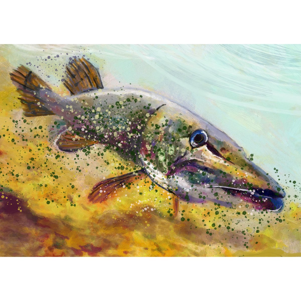 Northern Pike Abstract Art Print, Freshwater Fishing Wall Art Print, Hand Signed Fishing Gift By Jack Tarpon, Choice Of Sizes 11x14 12x16 tuppu.net/5d580952 #Etsy #DogFishArtCo #PikeFishing