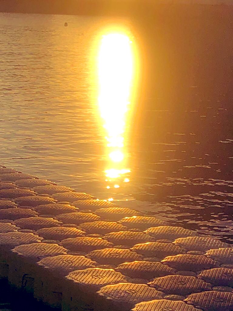 zeLaure_'s tweet image. L a #Volonté #Divine colorée #Bleue #Roi 
O #Lumière en La #PrésenceIAM 
I nvitation #Intérieure sur La #Voix de l’#Être 

S ur La #NoteClé 
P ouvoirs de Lumière 
I nitiation 
R ayonnante 
I nstant en #Suspension 
T oi
U n #Coeur 
E n Sa
L iberté 
L a #TripleFlamme 
E-lé-mental