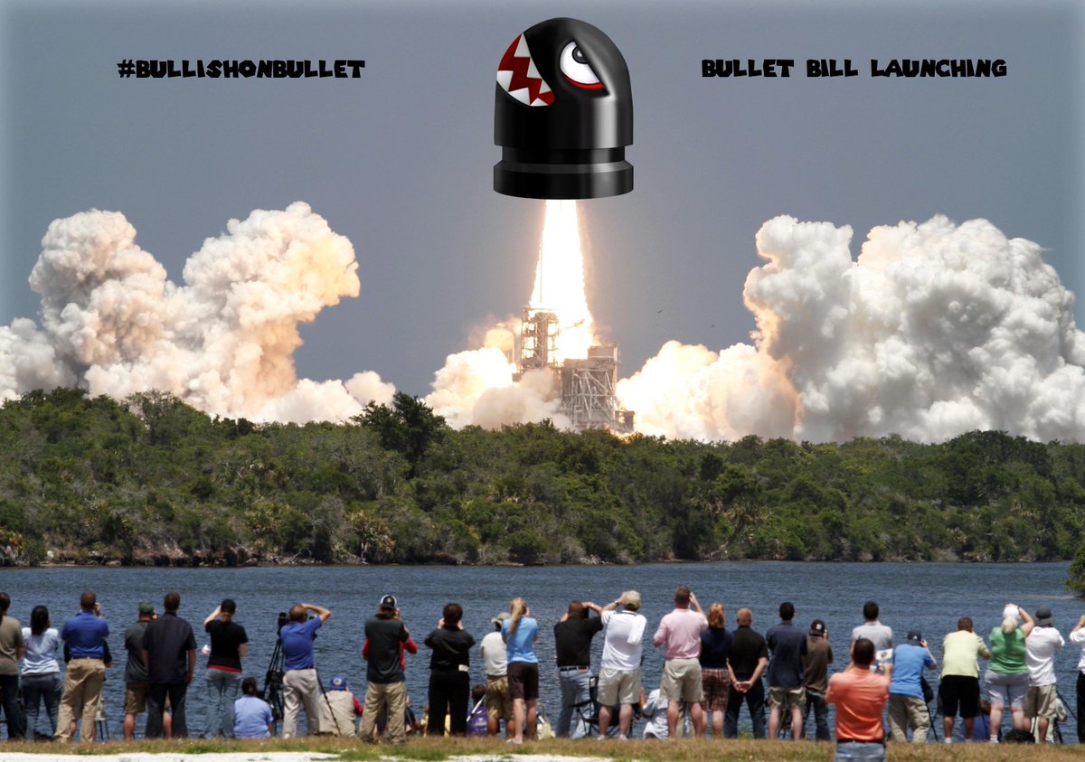 BulletBillSol's tweet photo. Launch https://t.co/YupeEZNPny