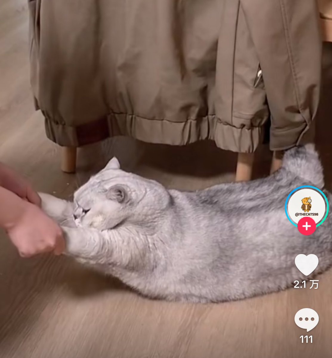 Fiona ❤️& ✌️ tweet media