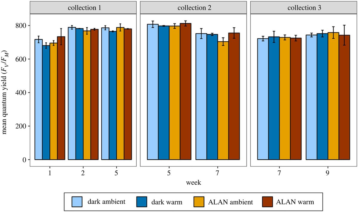Artificial light at night and warming impact grazing rates and gonad index of the sea #urchin Centrostephanus rodgersii #ProcB ow.ly/xXjA50RjF0U #Ecology @CariocaMayer <a href="/ProfMariaByrne/">Byrne lab</a> @ZiggyMarzinelli   <a href="/millycaley/">Milly Caley @millycaley.bsky.social</a>