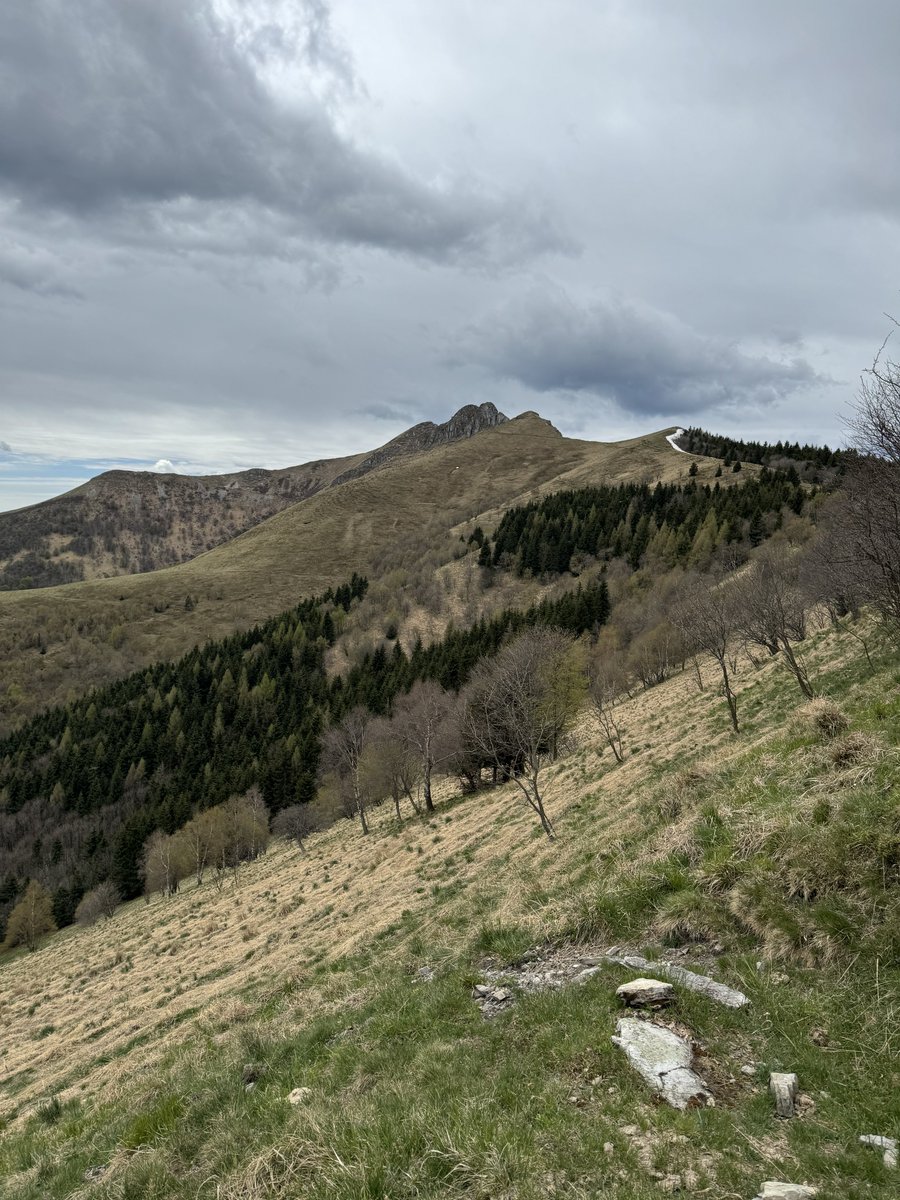 Oggi trekking in Svizzera, sul Monte Generoso (1.701 metri).