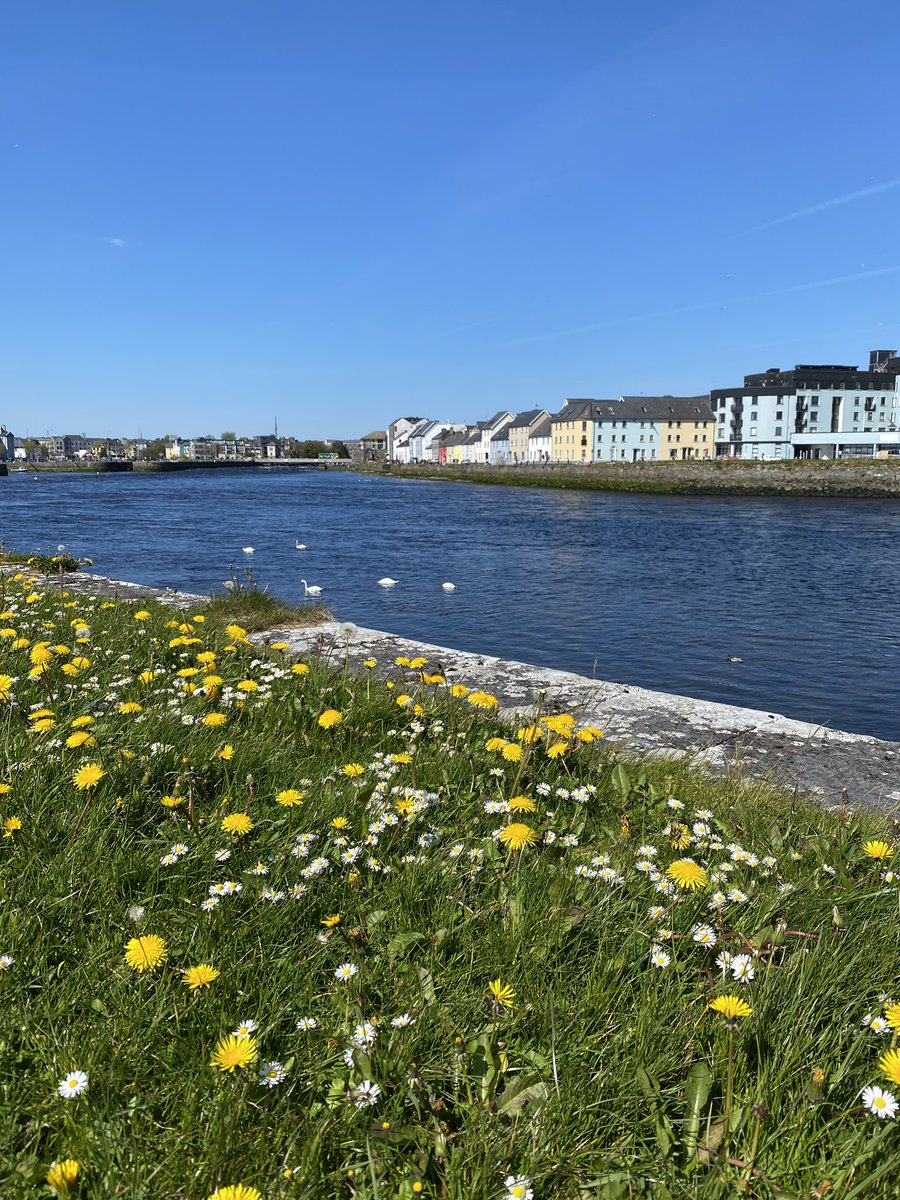 Sunny Galway. ☀️