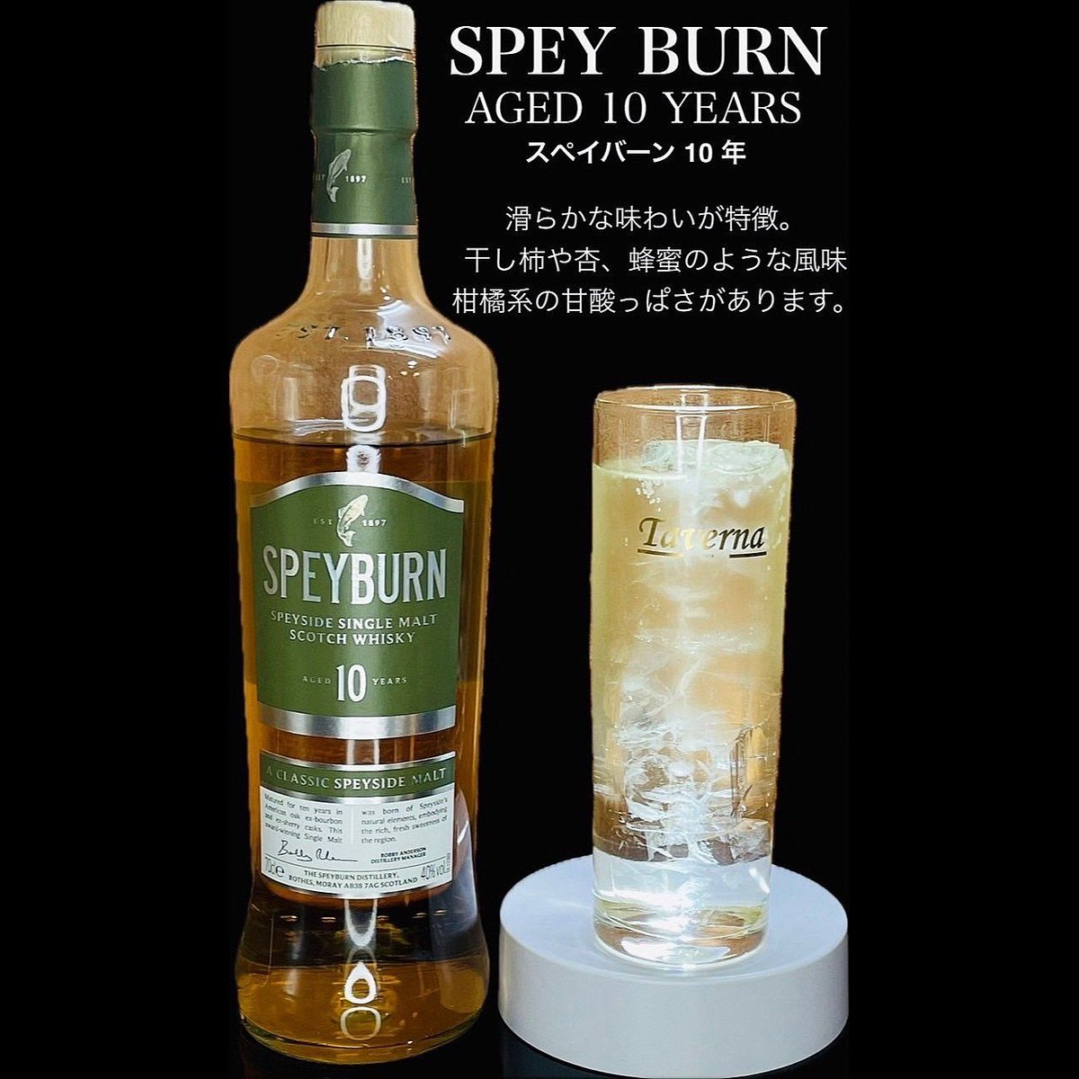 PI3CE_Taverna's tweet photo. Taverna 自慢のお酒紹介 part１２🥃
『 SPEY BURN AGED 10 YEARS
スペイバーン 10年 』
滑らかな味わいが特徴。
干し柿や杏、蜂蜜のような風味で、柑橘系の甘酸っぱさを感じられ��す♪
ぜひご賞味ください🥃 https://t.co/8CQv7oGS75