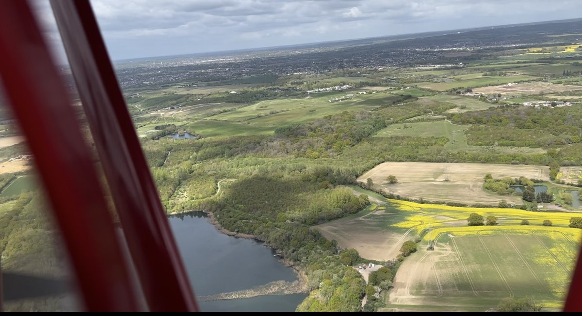 The Tiger Club tweet media